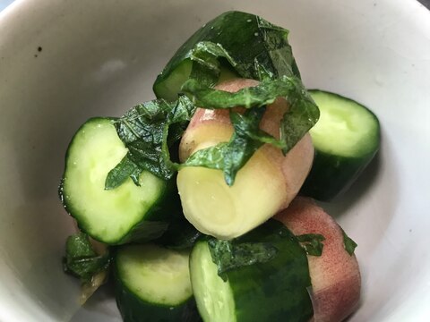 大きめのミョウガが美味しい！浅漬け